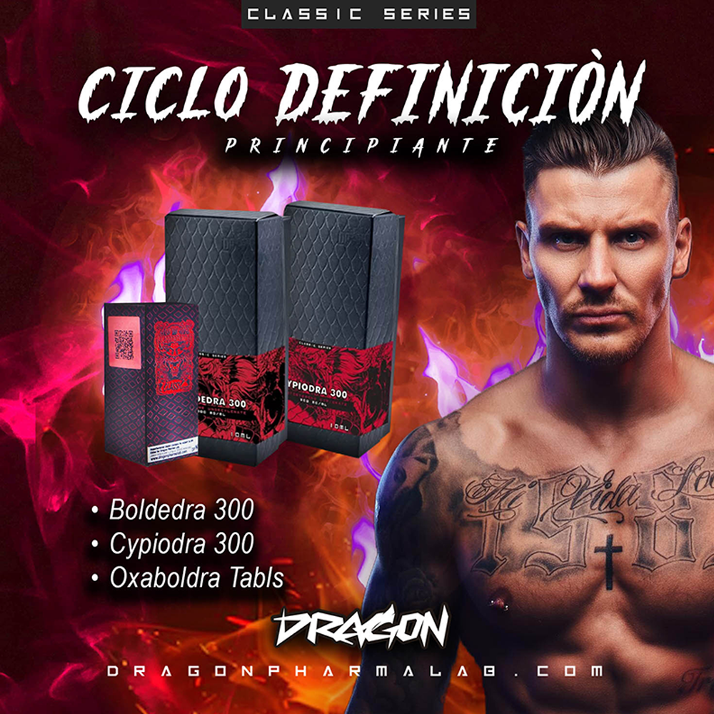 CICLO DEFINICIÒN PRINCIPIANTE 