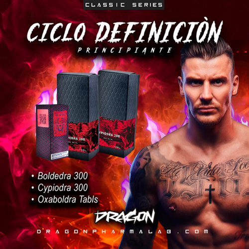 CICLO DEFINICIÒN INTERMEDIO