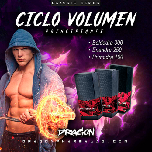 CICLO VOLUMEN PRINCIPIANTE